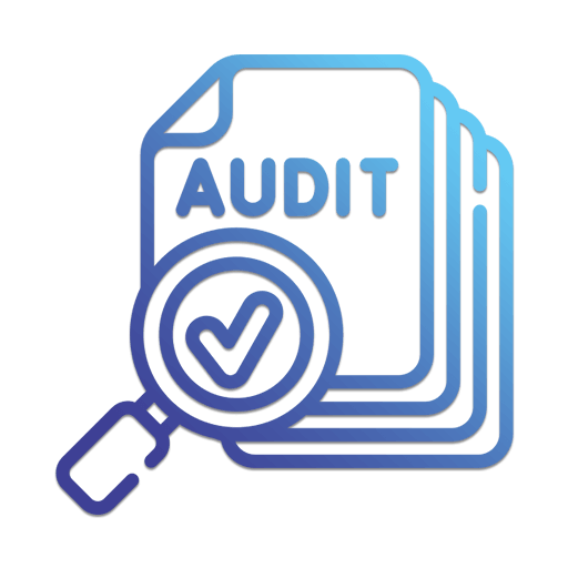 Initial SEO Audit Icon